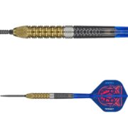 Raymond van Barneveld G6 95% Swiss Point
