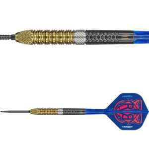 Raymond van Barneveld G6 95% Swiss Point