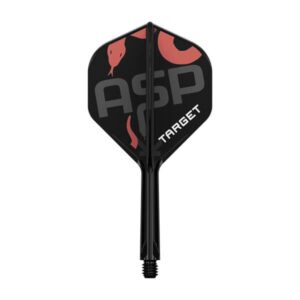 Target K-Flex Nathan Aspinall Flights No. 2 – Intermediate