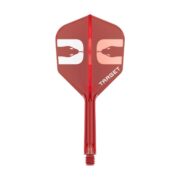 Target K-Flex Nathan Aspinall 2025 Flights No. 6 – Intermediate
