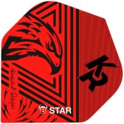 B-Star Flights – Krzysztof Ratajski