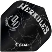 B-Star Flights – Dragutin Horvat